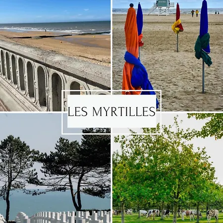 Les Myrtilles