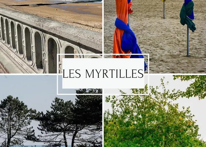 Les Myrtilles