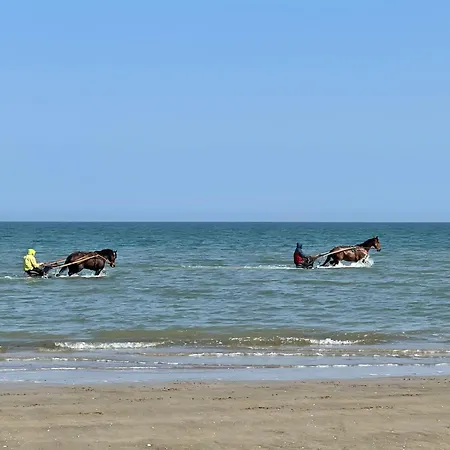 Casa de Férias Les Myrtilles Cabourg