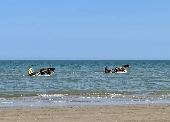 Holiday home Les Myrtilles Cabourg